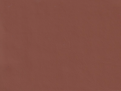 The image is a plain brown color, with no discernible objects or actions taking place.
