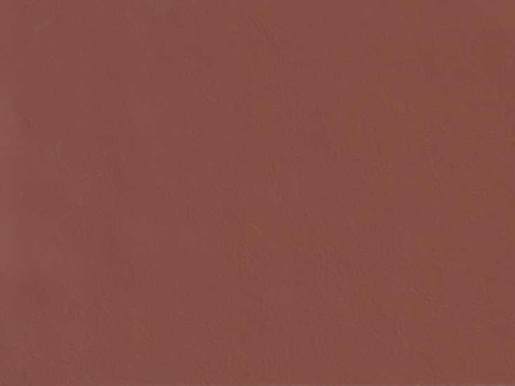 The image is a plain brown color, with no discernible objects or actions taking place.