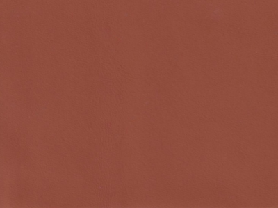 The image is a close-up of a solid, solid color, possibly a shade of red or orange. There are no discernible objects or actions depicted in the image.