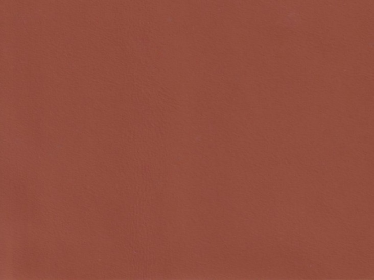 The image is a close-up of a solid, solid color, possibly a shade of red or orange. There are no discernible objects or actions depicted in the image.