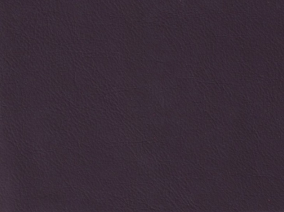 The image is a dark purple background with a slightly wrinkled texture, resembling a piece of fabric or a piece of paper.
