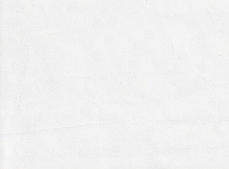 The image is a plain white background with no discernible objects or text.