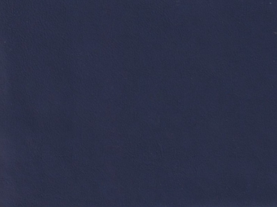 The image is a solid blue color, which appears to be a dark blue or navy blue background.