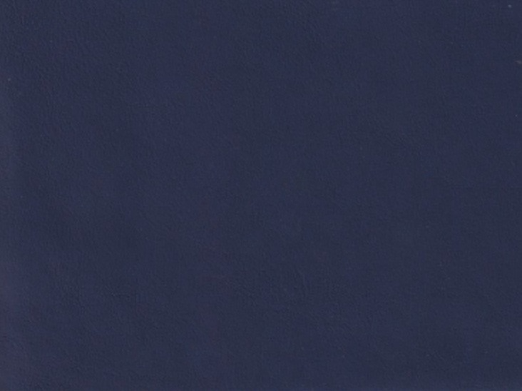 The image is a solid blue color, which appears to be a dark blue or navy blue background.
