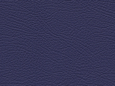 Basis for VW Jazz Blue