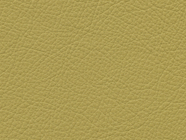 Royal+Modulesystem Technical Pistachio